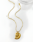 Lyra-Shell Gold Chain