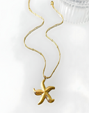 Lyra-Shell Gold Chain