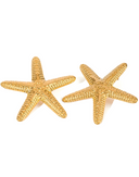 Jolie-Starfish Detail