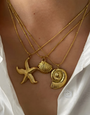 Lyra-Shell Gold Chain