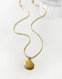 Lyra-Shell Gold Chain