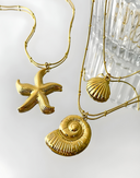 Lyra-Shell Gold Chain